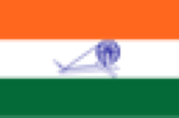 New Delhi flag